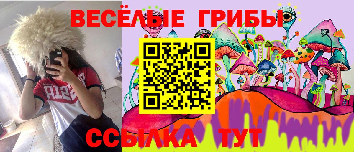 Галлюциногенные грибы Psilocybe Нягань