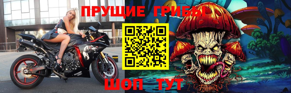 Нягань  Псилоцибиновые грибы прущие грибы  Вход с VPN 
